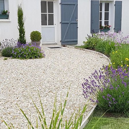 Saint-Augustin  A L'Ombre Des Pins Bed & Breakfast エクステリア 写真